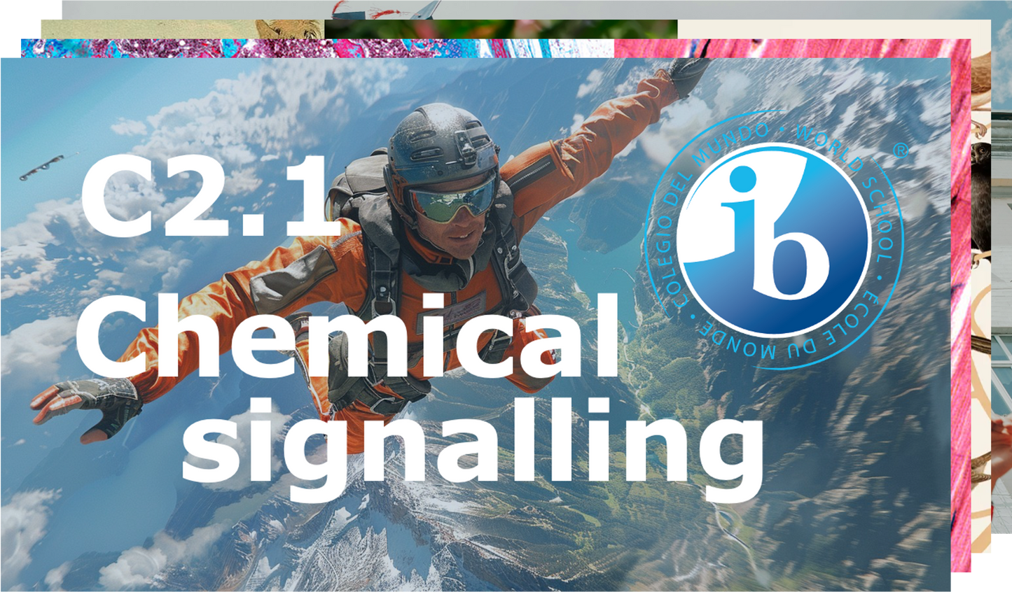 2025 IB Biology Revision Pack