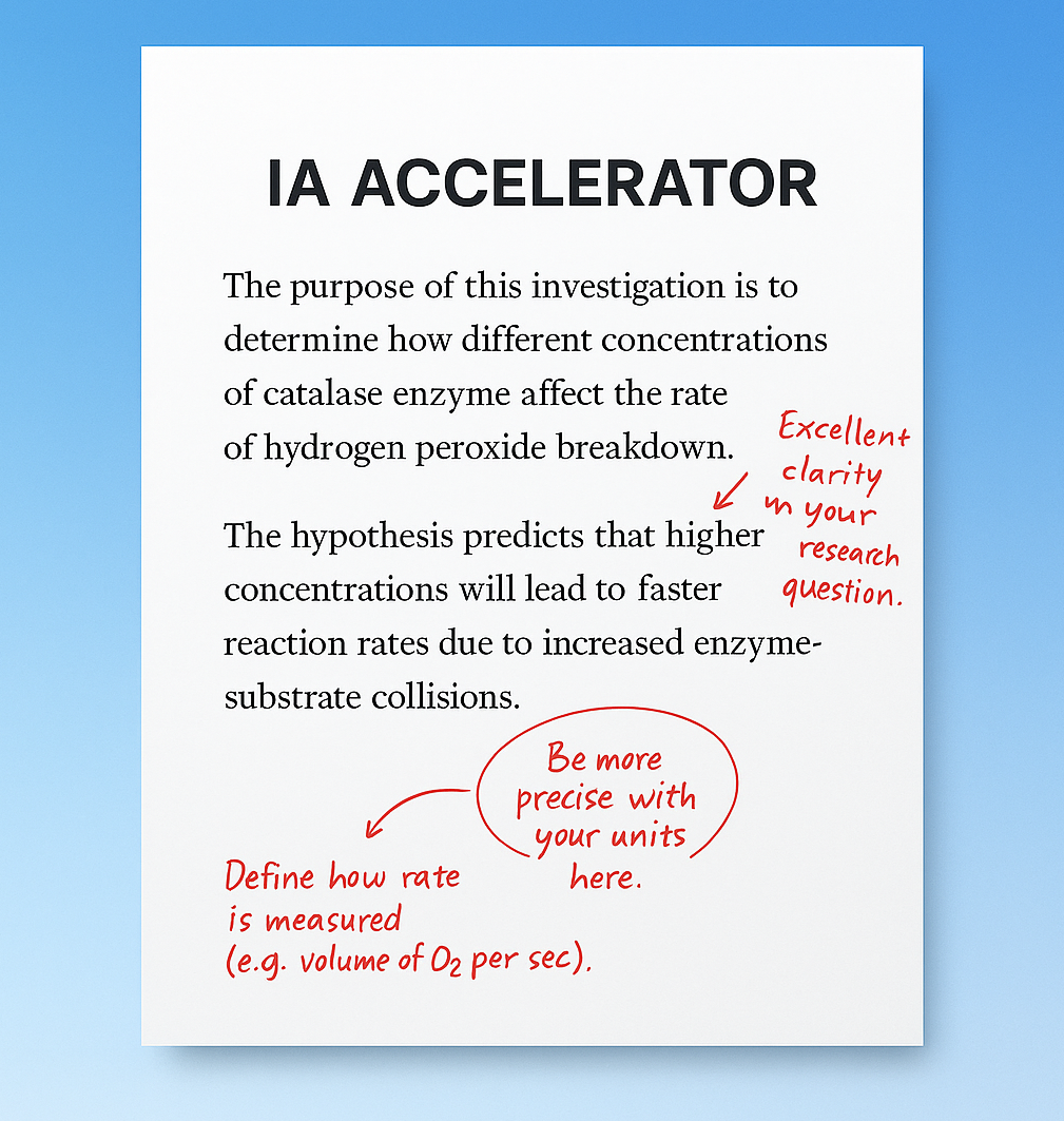 IA Accelerator