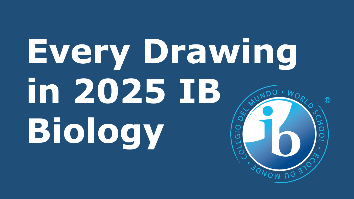 All the Drawings in 2025 IB Biology