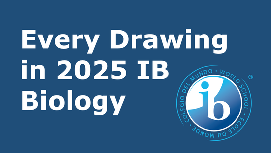 All the Drawings in 2025 IB Biology – the7student