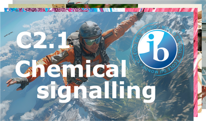 IB Revision Pack